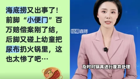 海底捞尿不湿事件